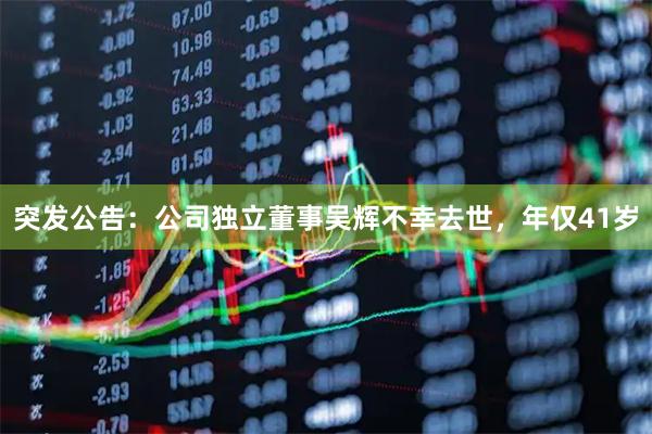 突发公告：公司独立董事吴辉不幸去世，年仅41岁
